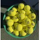 Мячи для гольфа Taylormade Range 2х слойные желтые