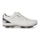 Кроссовки Ecco BIOM G 2 BOA Gore-Tex