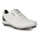 Кроссовки Ecco BIOM G 2 BOA Gore-Tex
