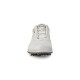 Кроссовки Ecco BIOM G 2 BOA Gore-Tex