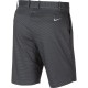 Шорты Nike Flex Golf