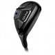 Гибрид Ping G425 HY